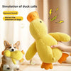 Plush Squeaky Duck Dog Toy